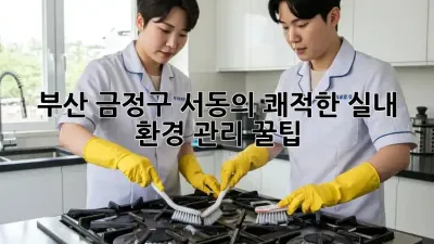 부산 금정구 서동의 쾌적한 실내 환경 관리 꿀팁 🏡✨
